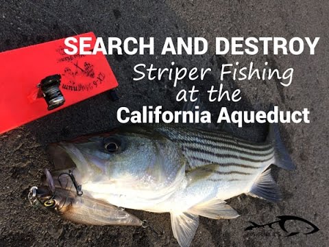 California fishing report california aqueduct