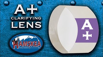 InSight A+ Clarifying Lens