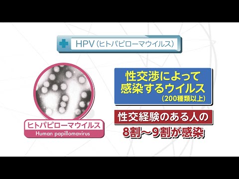 I want to know! Cancer Screening] Vol. 764 