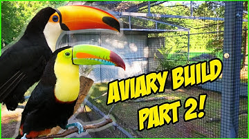 Building the ULTIMATE Toucan Aviary! Part 2 (Mesh, Cover & More)