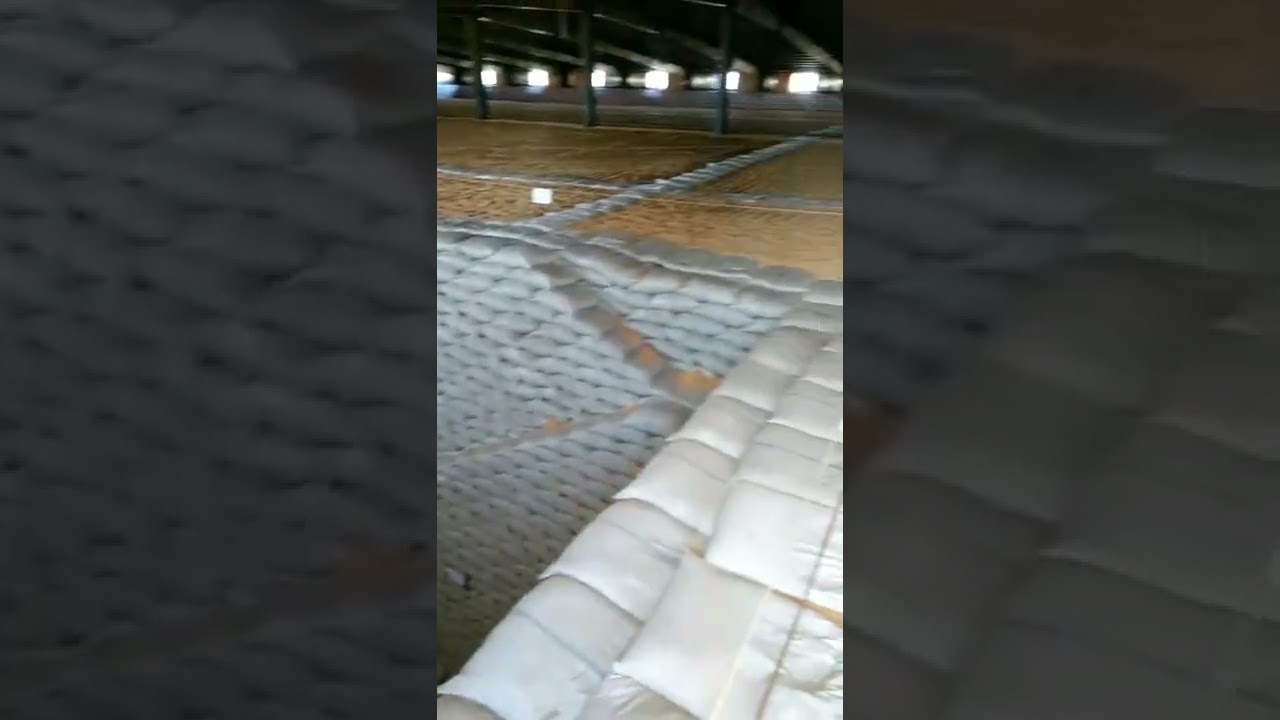 neat grain storage warehouse