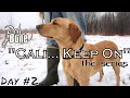 "Cali... Keep On" Training a Bird Dog Series | Ep: #2