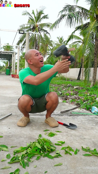 Funny video | This machine is better than a broom 😀#shorts #funny