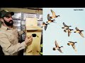 How to BUILD a WOOD DUCK House?? ((Nest Box))