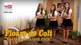 FLOARE de COLT .  Vai de inimioara mea (oficial video)