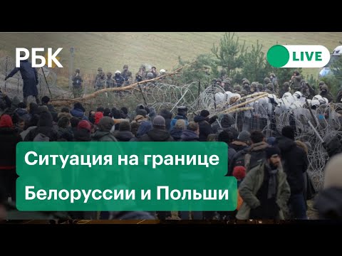 Мигранты разбили лагерь на границе Белоруссии и Польши. Прямая трансляция