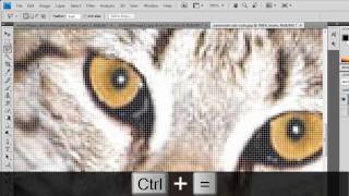 Adobe Photoshop CS5: Color Splash Tutorial screenshot 4