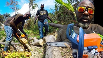 FARM CLEAN UP | MAN AT WORK AFTER HURRICANE MELISSA. FARM RECOVERY 
