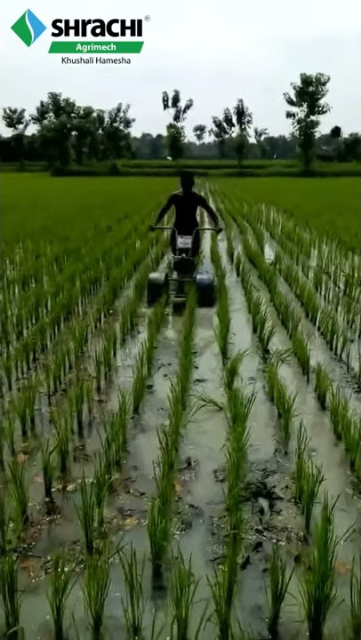 Shrachi 2R Paddy Weeder