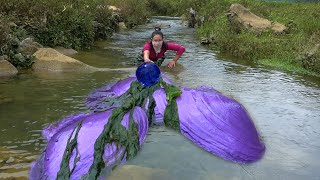 The giant purple clam hiding in the moss brings me first-class purple pearls