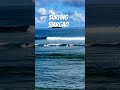 Surfing in Siargao