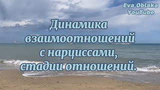 Динамика взаимоотношений с нарциссами. 10 основных стадий отношений. Замкнутый круг нарцисса.