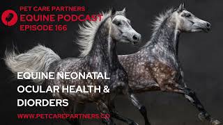 EP. 166: Ocular Neonatal Health & Disorders in Foals | Equine Eye Care | Pet Care Partners