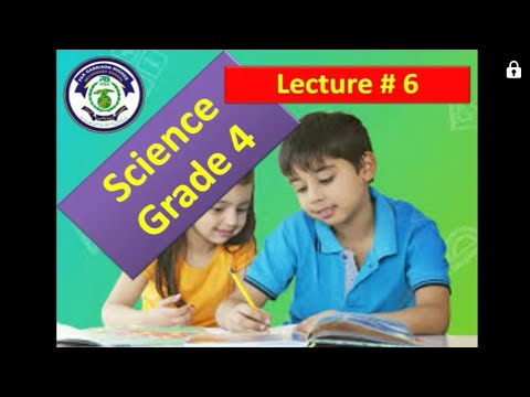 Class 4 Science Chapter 3 - YouTube