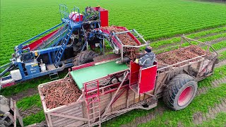 Harvesting Carrots Fendt 516 W Asalift 2-Row Sharelifter Samon Box Carts De Zeeuw