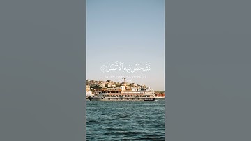 ولا تحسبن الله غافلا عما يعمل الظالمون ||#وديع_اليمني سورة إبراهيم