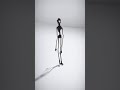 Stylized Skeleton Character - AI Rigged 3D Character