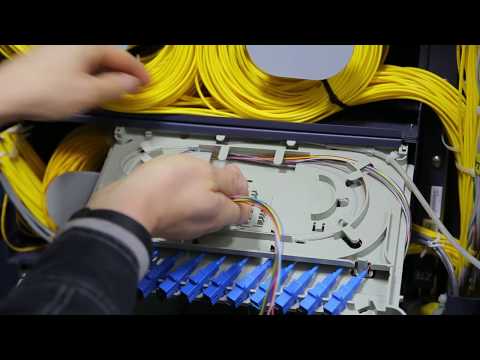 Video: Ont Ethernet nədir?