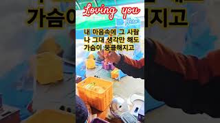 김장하는 날 #김장철 #사랑해요그대를 #임영웅 #건행