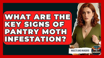What Are The Key Signs Of Pantry Moth Infestation? - Insects and Invaders