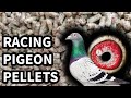Are Racing Pigeon Pellets Any Good?