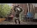 CHIMP with WEAPON - real or fake?