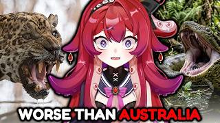 THE AMAZON MAKES AUSTRALIA LOOK LIKE A JOKE..
