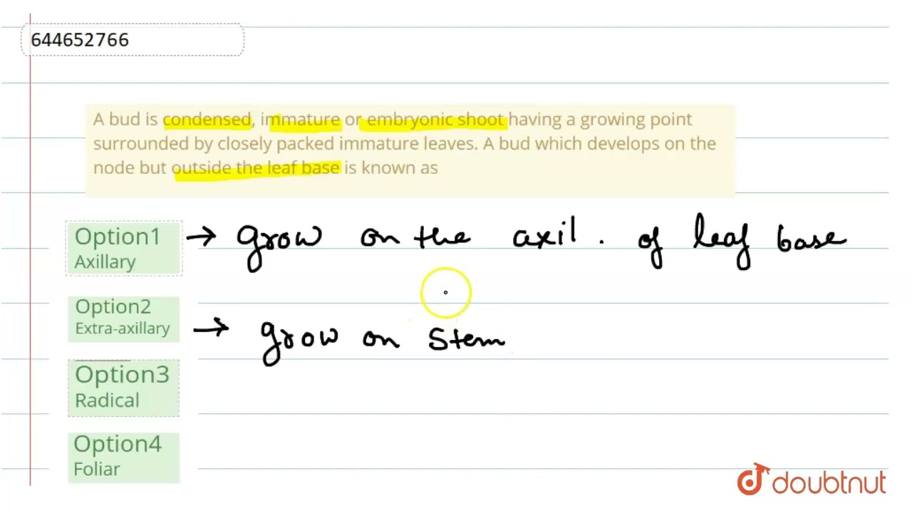 A bud is condensed, immature or embryonic shoot having a growing point surrounded by closely pac...