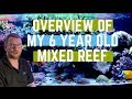 Overview of my 6 year old mixed reef aquarium