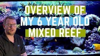 Overview of my 6 year old mixed reef aquarium
