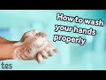 How to wash your hands properly