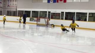 Timmins Timbit Penguins
