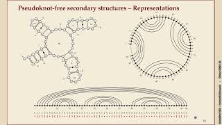 Algorithms of Bioinformatics (Winter 2025-26) 8-3 Pseudoknot-free secondary structures