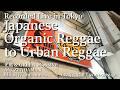 Japanese Organic Reggae to Urban Reggae (2001-2024)