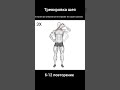 тренировка шеи, #тренировка #шеи #спорт #мас #sports #мотивациянауспех #советы
