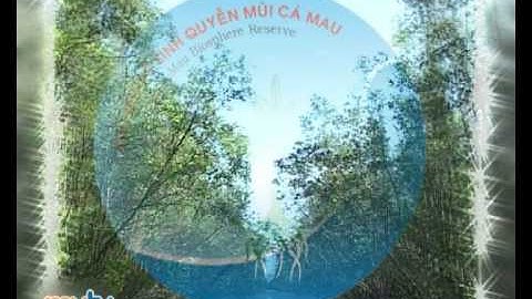 Về Đất Mũi Cà Mau