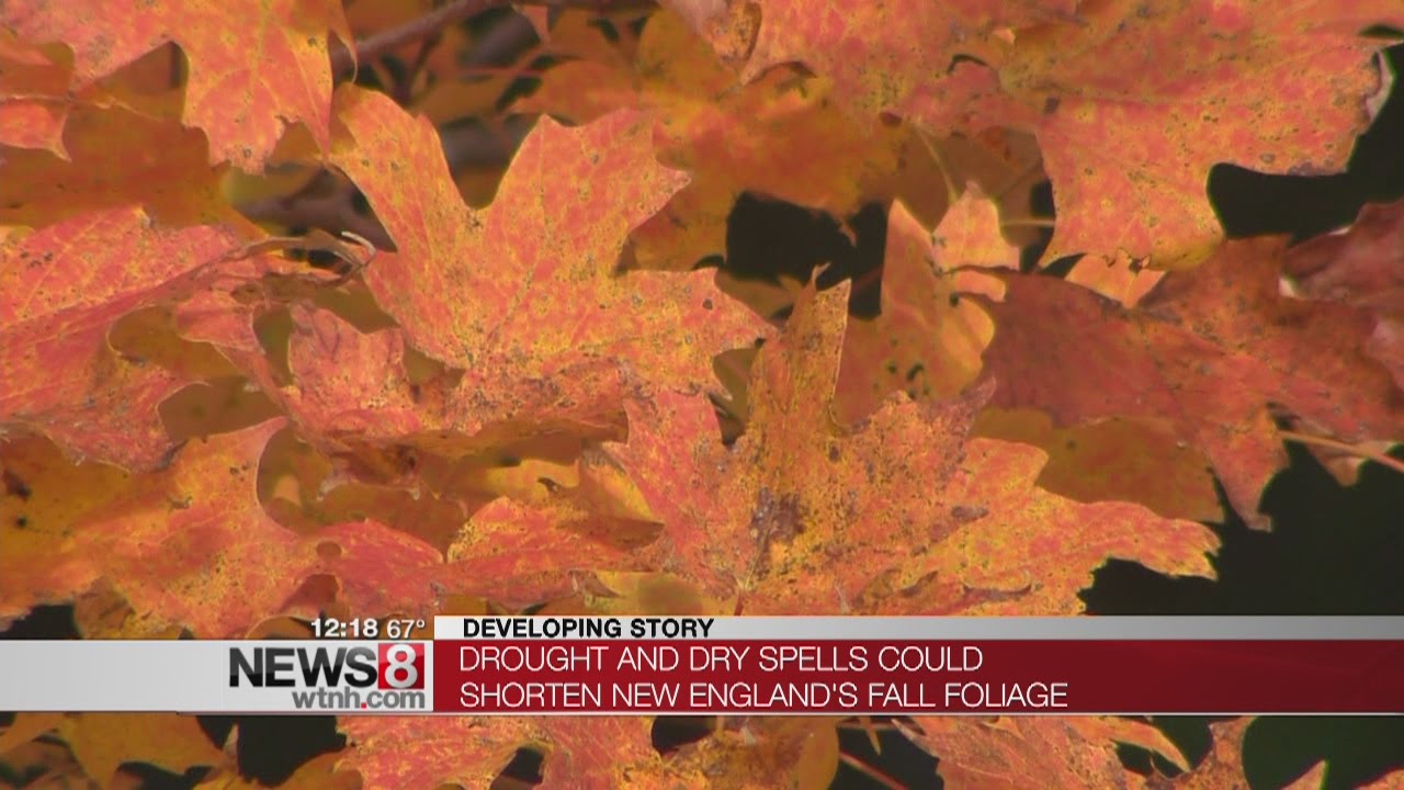 Dry weather could shorten New England’s fall foliage season - YouTube