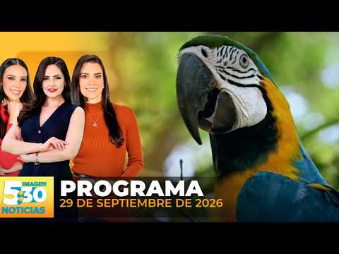 Imagen Noticias 5:30 | Programa completo 29 de septiembre de 2026