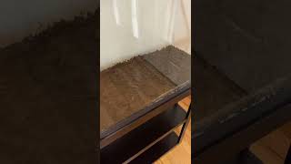 Setting up my dirt and sand substrate aquarium