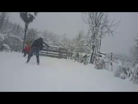 გუნდაობა zamtarshi