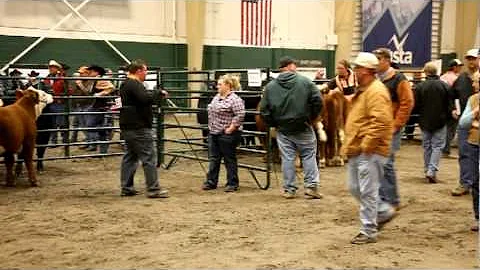 2011 Nebraska Cattlemen's Classic Pen of 3 Highlights