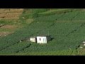 Ooty Agriculture Mp3