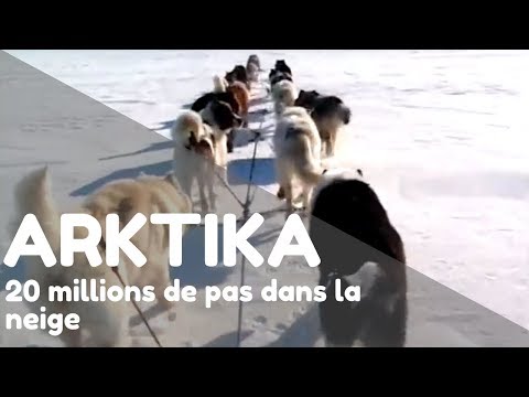 Vidéo: Voyage Dans L'Arctique: Les Meilleures Façons D'explorer La Région Polaire Nord