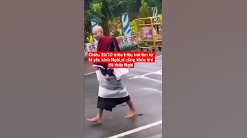 chiều 26/10 triệu triệu trái tim từ bi yêu kính Ngài,ai cũng khóc#suminhtue #shortvideo