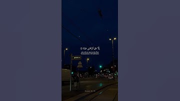 {وَمَا يَنبَغِي لِلرَّحْمَٰنِ أَن يَتَّخِذَ وَلَدًا} [مريم : 92]القارئ شريف مصطفى