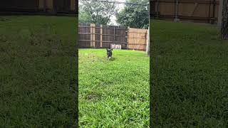 IMG 4349