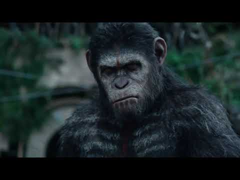 dawn of the planet of the apes full movie in hindi free download utorrent dawn of the planet of the apes full movie in hindi free download utorrent