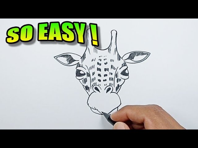 How to Draw a Giraffe – Really Easy Drawing Tutorial | Giraffe drawing,  Giraffe, Easy giraffe drawing