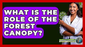 What Is The Role Of The Forest Canopy? - Earth Science Answers