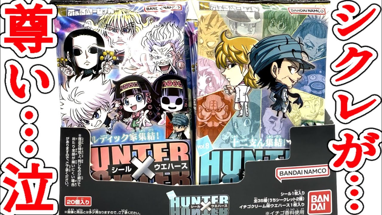 Secret Precious (tears) Formation Hunter x Hunter Sticker Wafer No